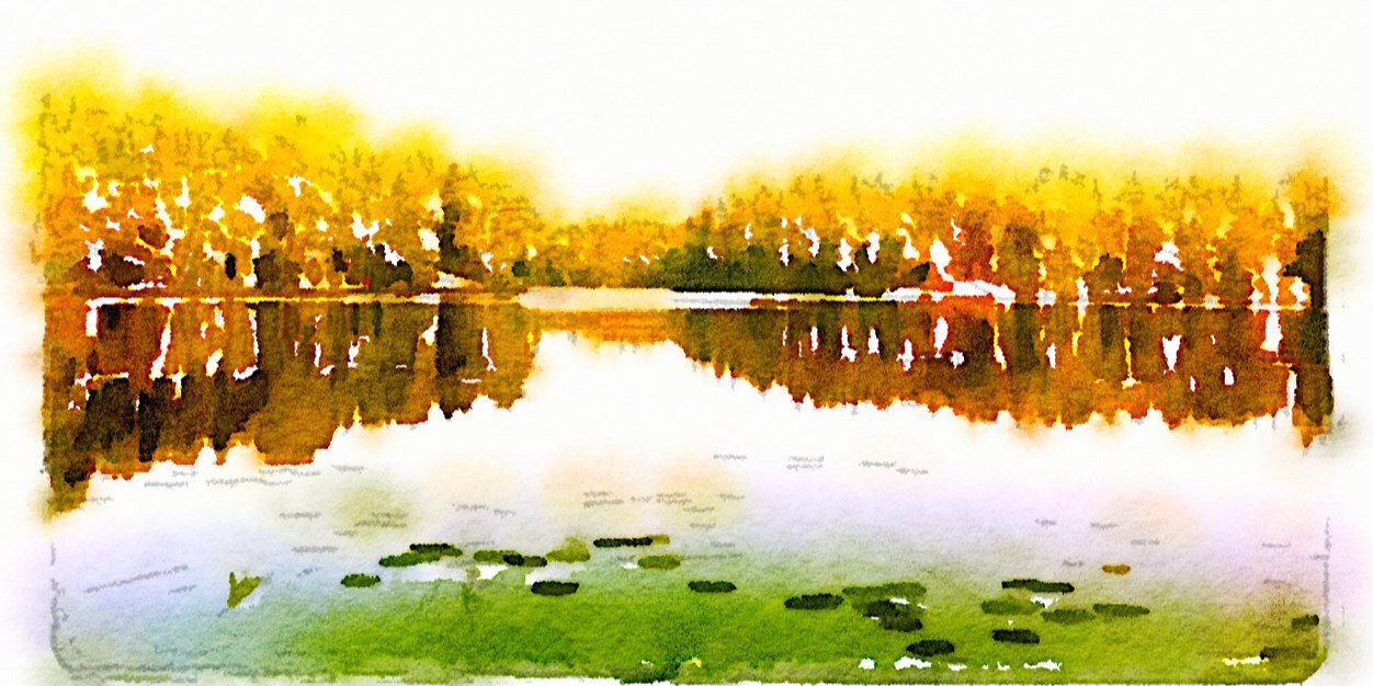 numminen's profile banner image