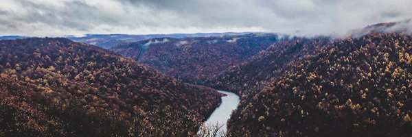 nicocanavo Profile Banner