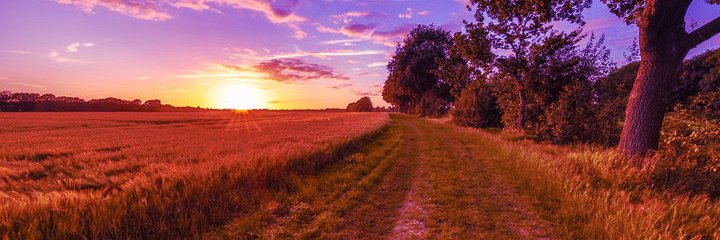 Ruby (NSFW DNI) banner