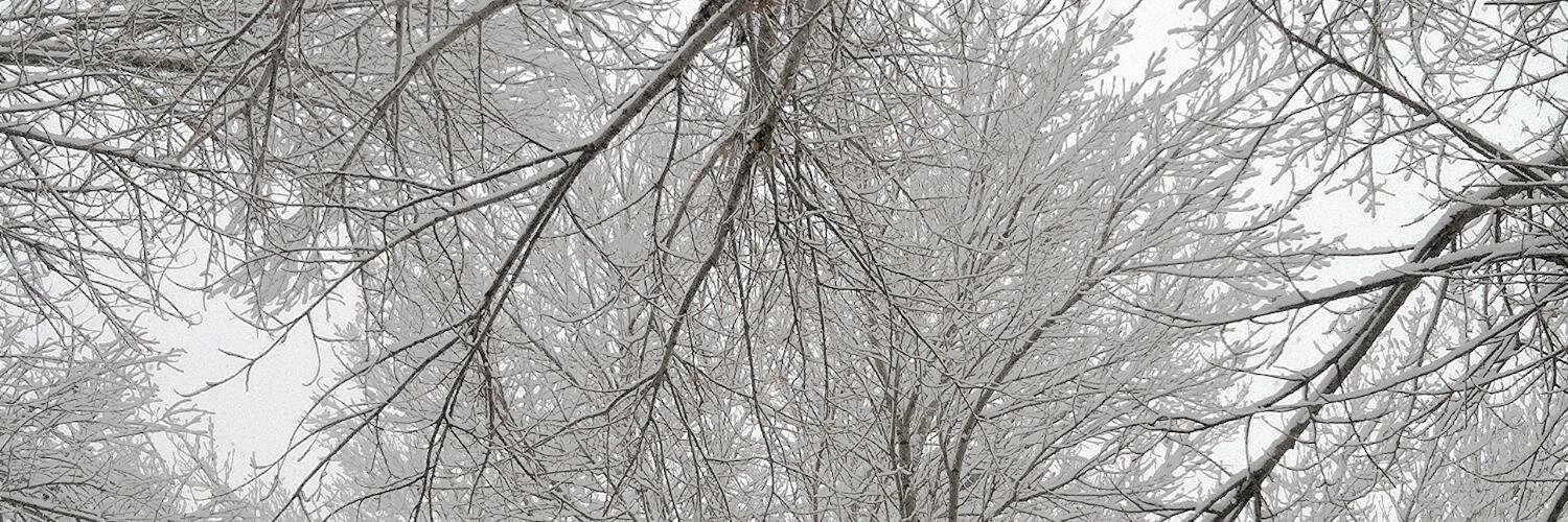 chanelreed's profile banner image