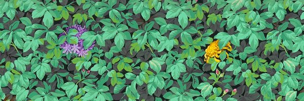 nicetransition Profile Banner