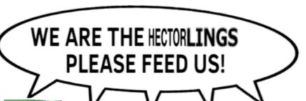 hectormpreg's profile banner image