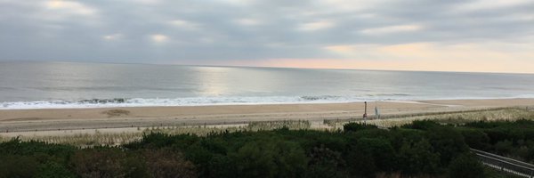 Jinxiecat7878 Profile Banner