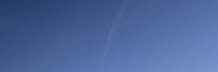 aves! banner
