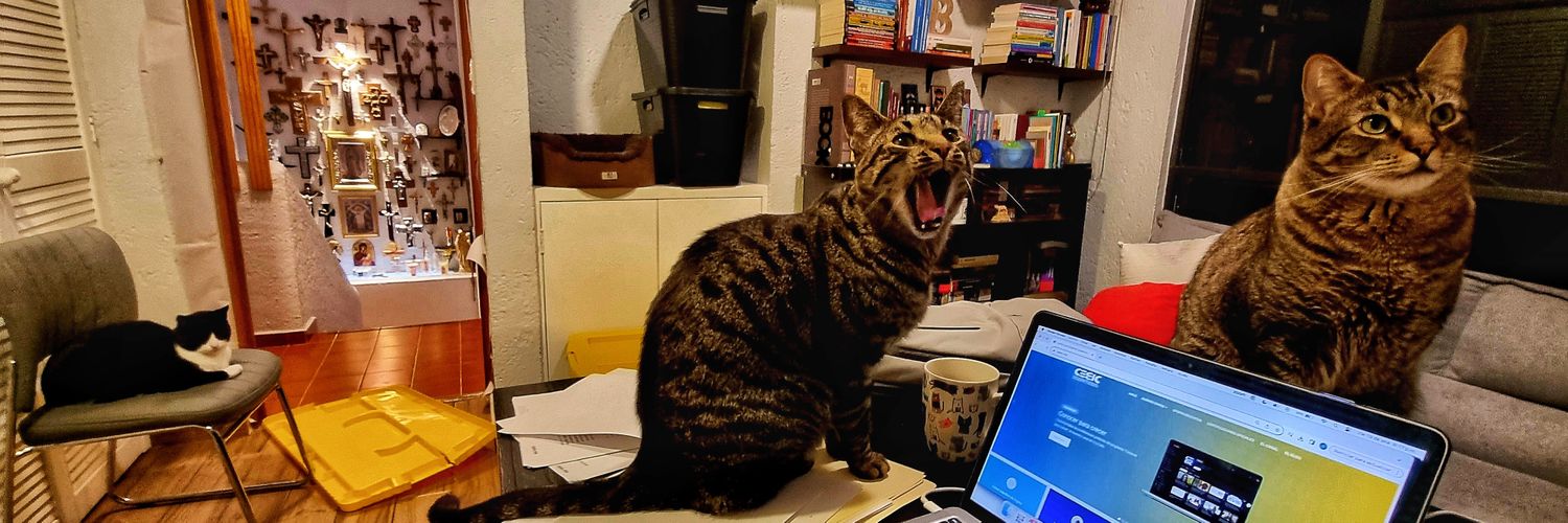 David Boone de la Garza 🌎🇲🇽 banner