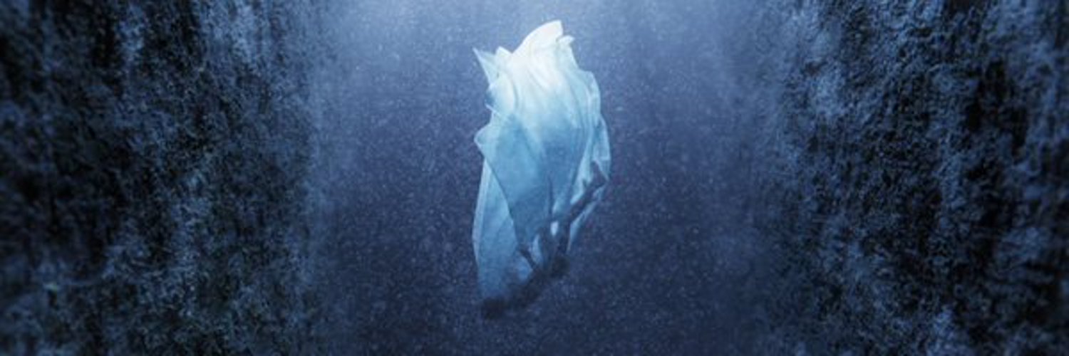 anntorralba18's profile banner image