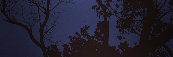 reverienoo Profile Banner