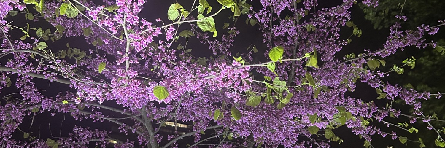 plasticsciss0rs's profile banner image