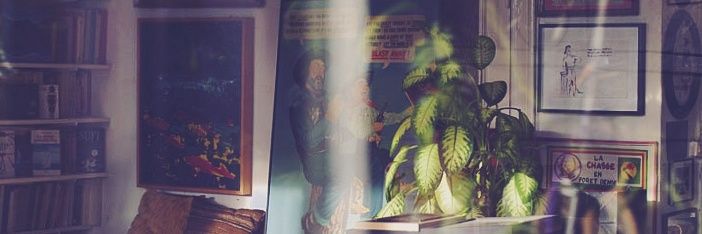 _AnIndianSummer's profile banner image
