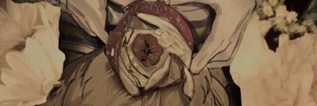 FercasWii's profile banner image