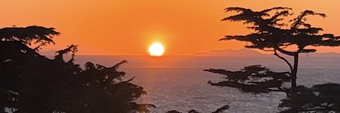 William J Browne banner