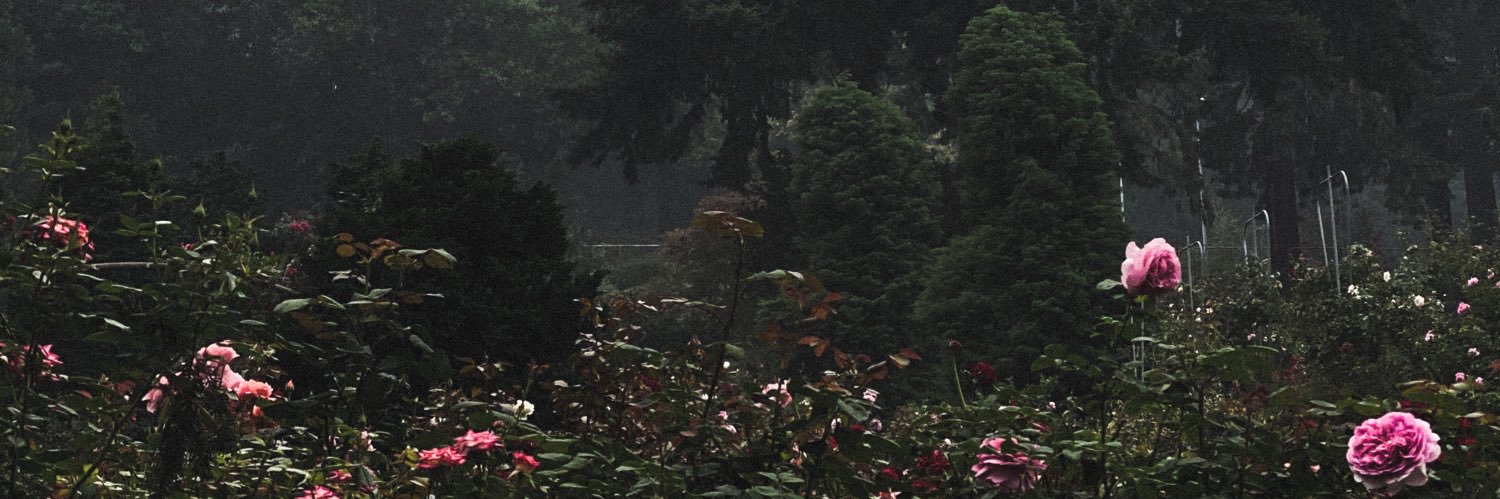 fobb9k's profile banner image