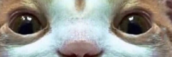 thosmur Profile Banner