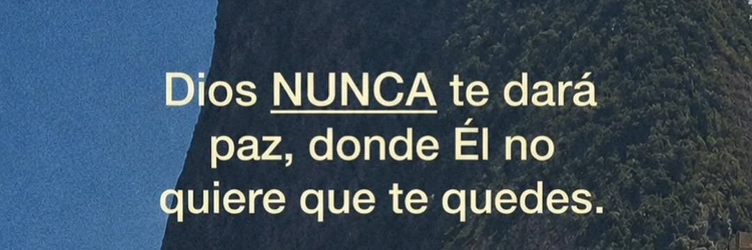 roxvas's profile banner image
