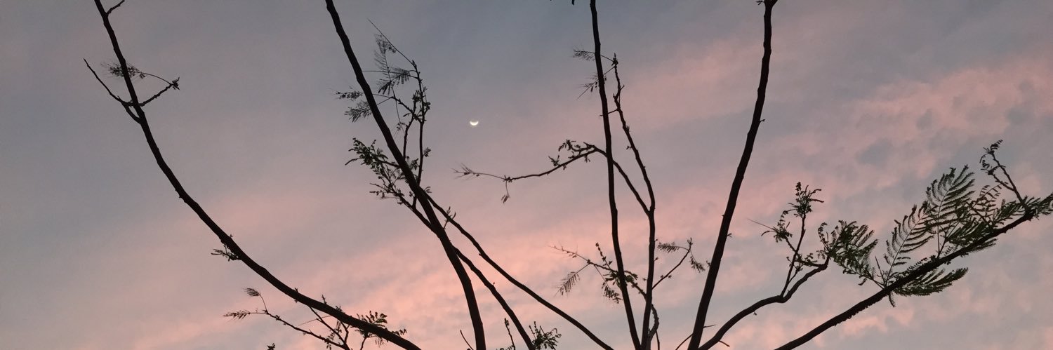 Xuwarm_01's profile banner image