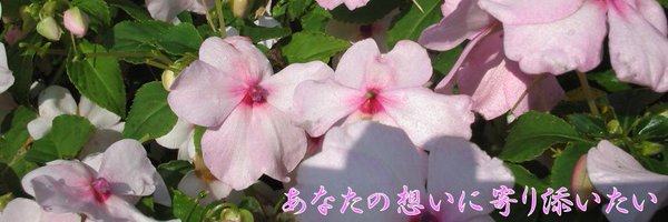 s4701519 Profile Banner