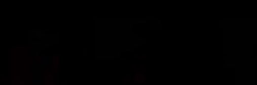 yolandon banner