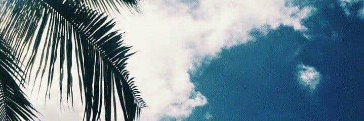 Alissa ✿ banner