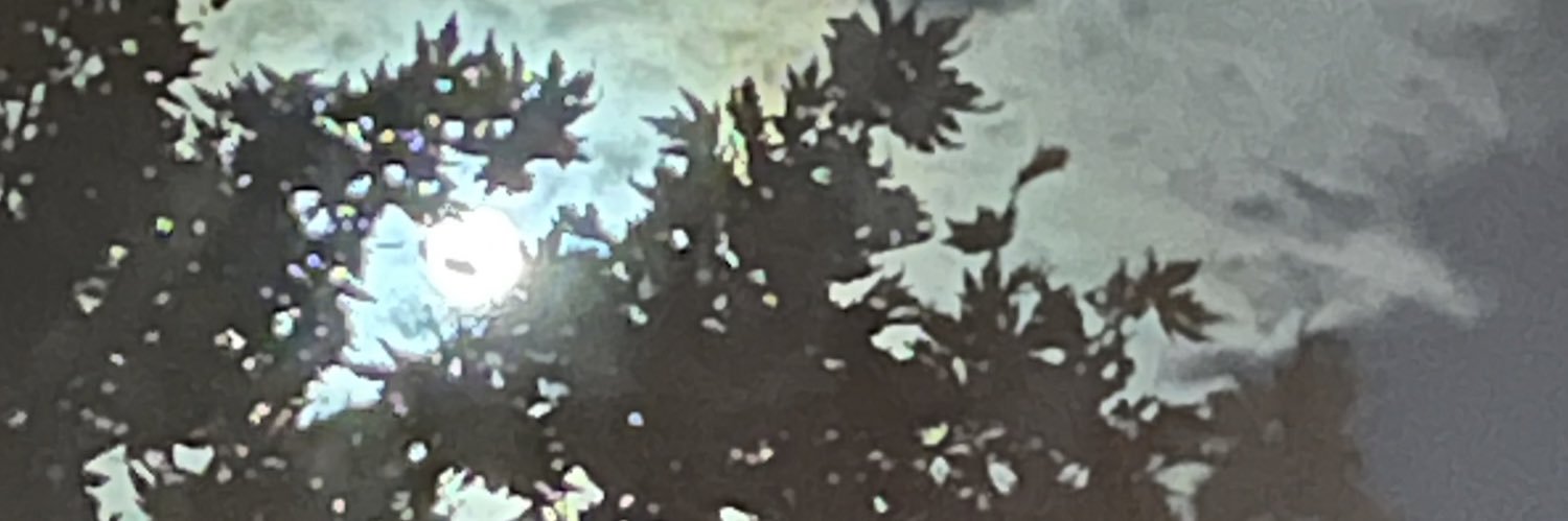 G70R30's profile banner image
