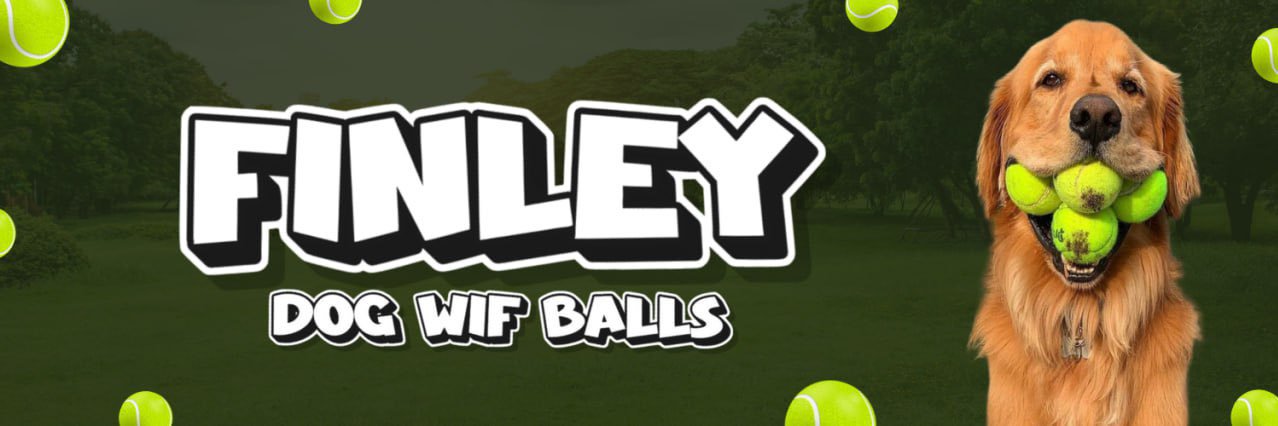 $FINLEY - Dog Wif Balls banner