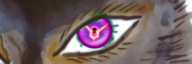 29912190's profile banner image