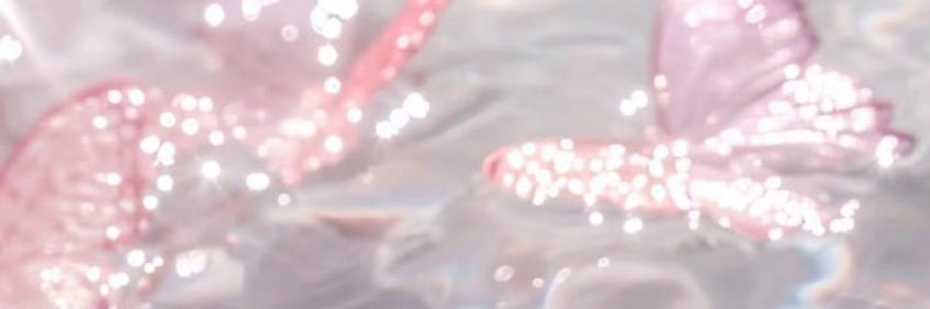 迷你小猫🐱 banner