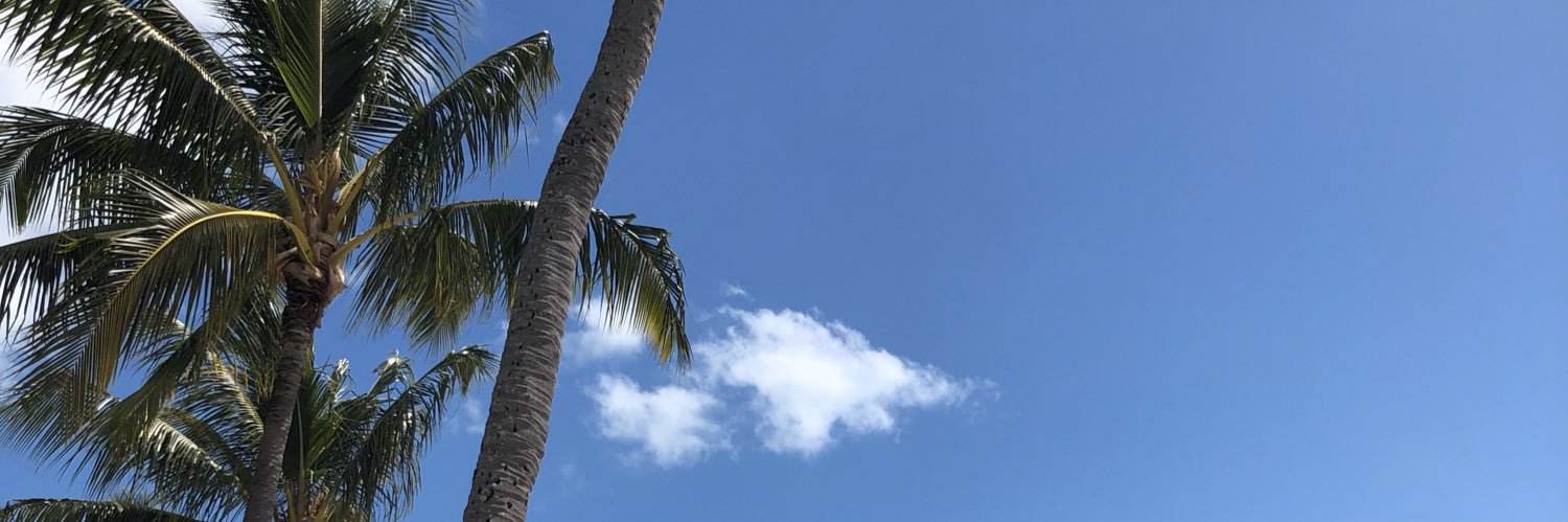 CorrinaAnderson's profile banner image