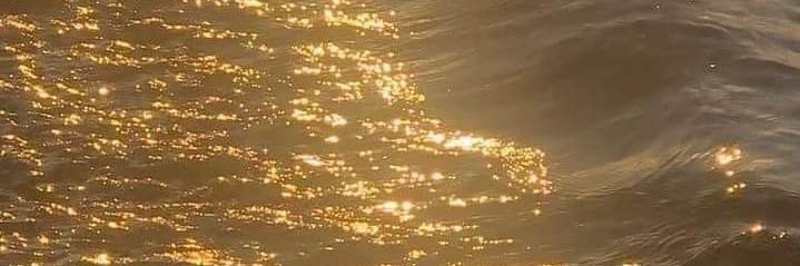 𝘁𝘀𝘂𝗸𝗶 banner