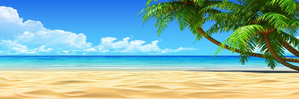 Robert F Hirsch banner