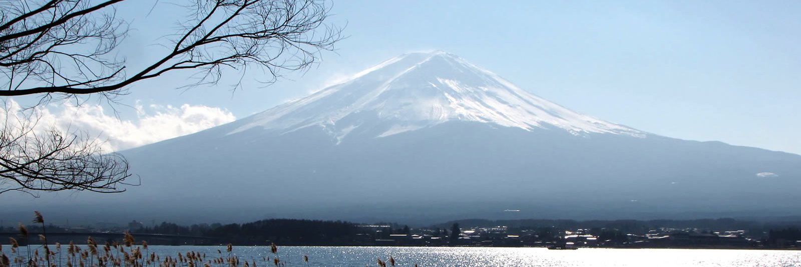 elpetote's profile banner image