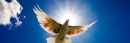 Rocío Jiménez Mtz. banner