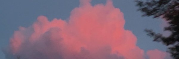pe_tsar Profile Banner