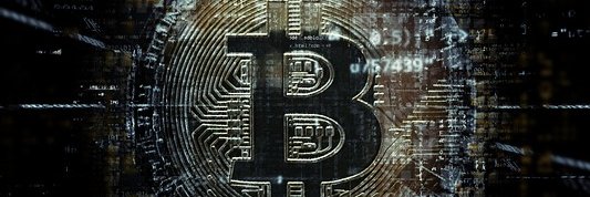 Crypto-Viking banner