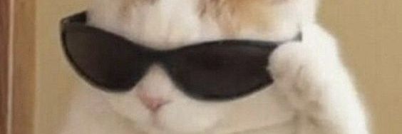 sgasmz's profile banner image