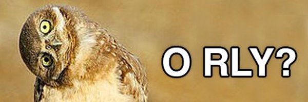 O RLY? Coin Profile Banner