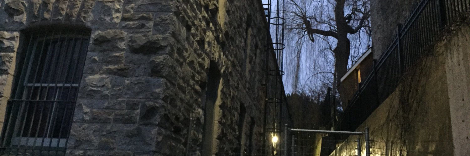 Retro Laser Studios banner