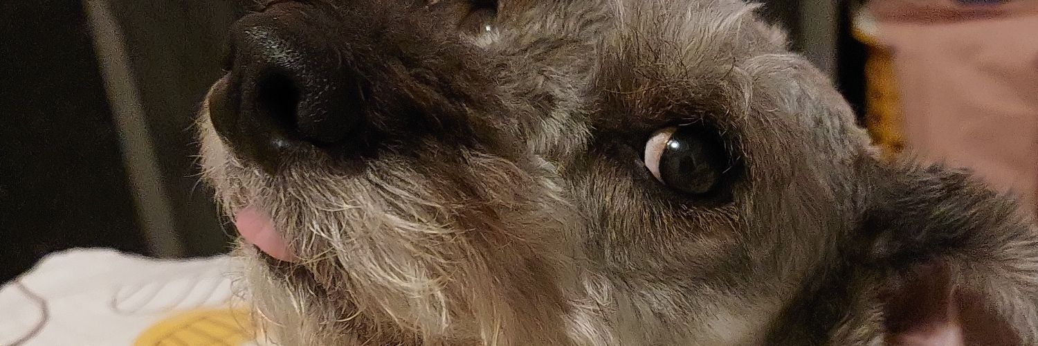 8Kasc8's profile banner image