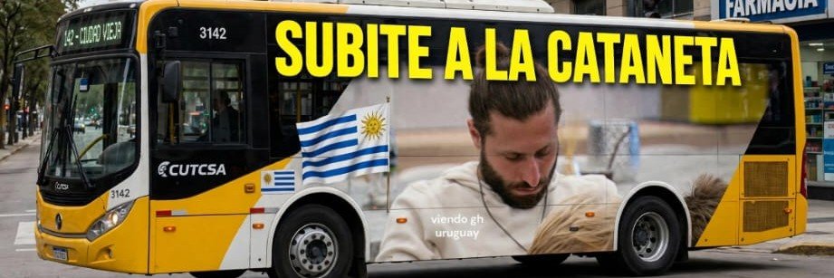 LaCataNetaa's profile banner image