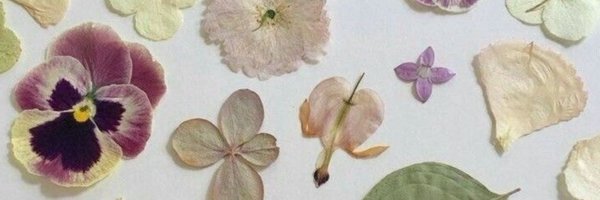 russelleaff Profile Banner