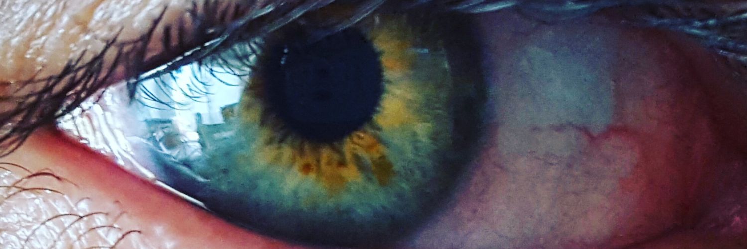 sebasinplanB's profile banner image