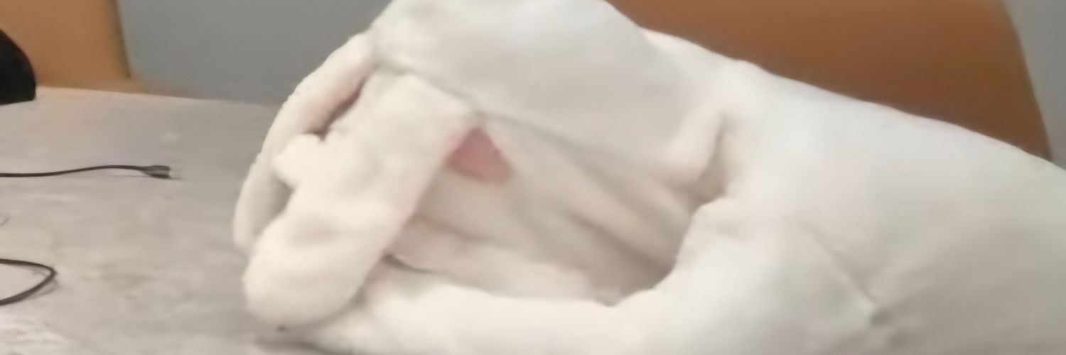 풀싫어하는 아토's banner