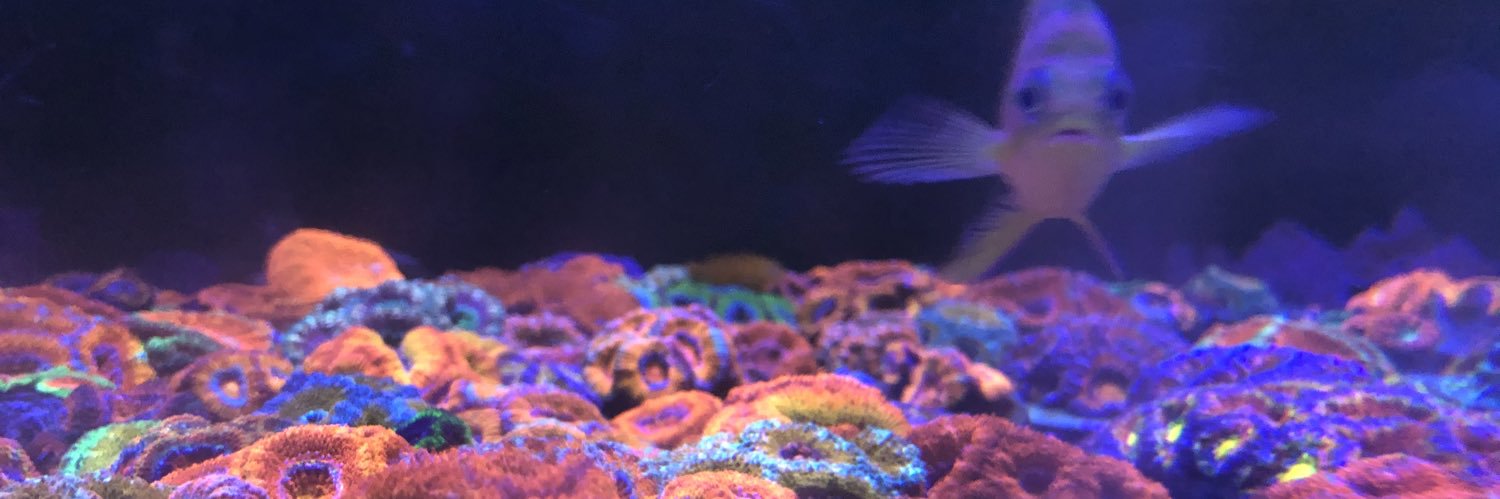 じゃむ banner
