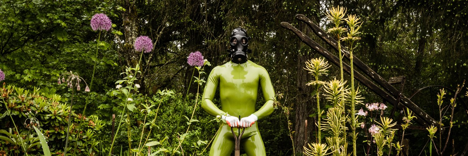 shinycreature's profile banner image