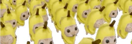 🌱💭 banner