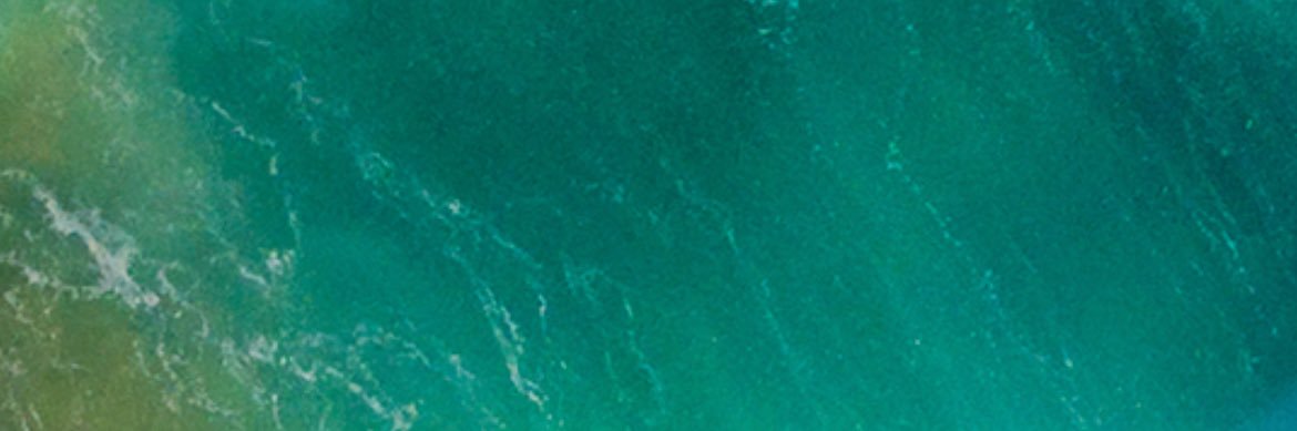 MagedHassa30951's profile banner image