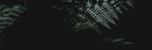 TwoThreeXYZ Profile Banner