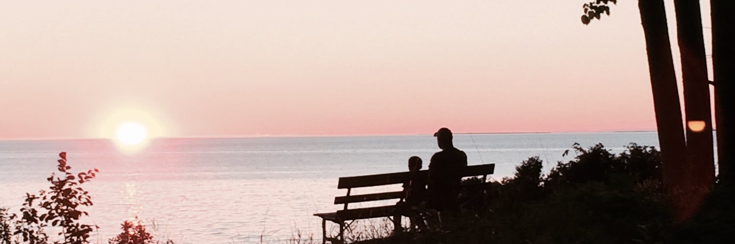 adamrandels's profile banner image