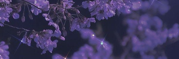 ffxivnadia Profile Banner