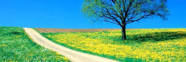 Reza_o_0 Profile Banner