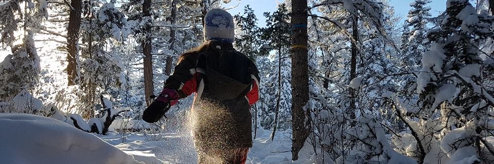 RobertsKamloops's profile banner image